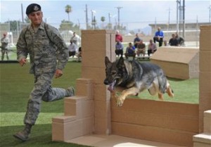 Dogged Determination Wins Training Day Dogged Determination Wins Training Day