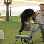 Luke AFB Working Dog Demo